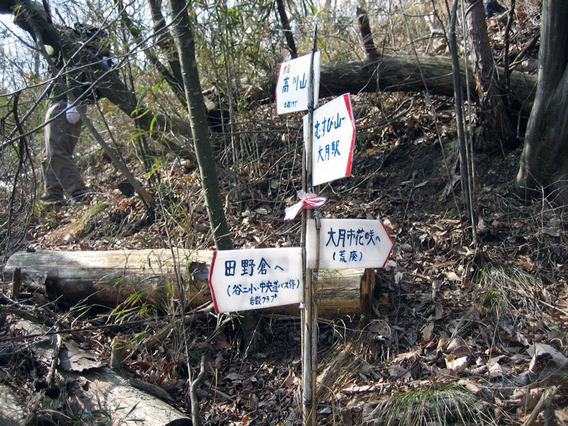 高川山